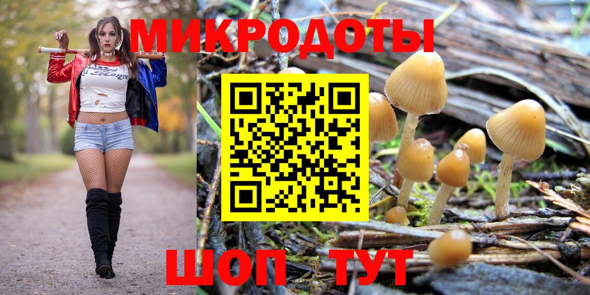 Псилоцибиновые грибы Cubensis Новодвинск